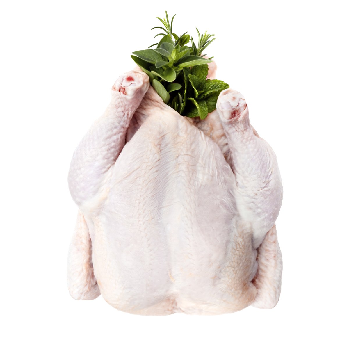 Chicken body – Karioco